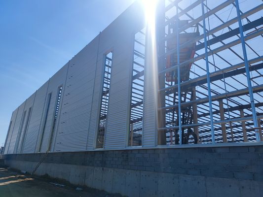 Australia Style Dobrze zaprojektowana prefabrykowana konstrukcja stalowa rozwiązanie budowy magazynu